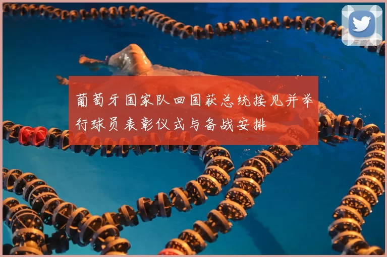 葡萄牙国家队回国获总统接见并举行球员表彰仪式与备战安排