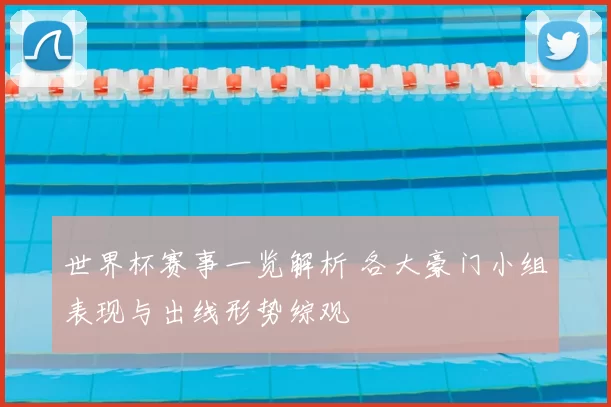 世界杯赛事一览解析 各大豪门小组表现与出线形势综观